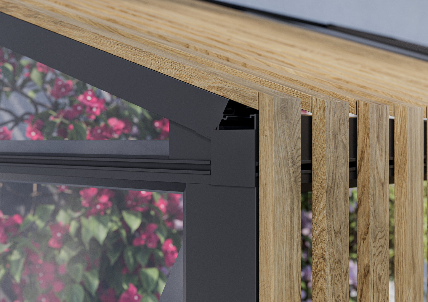 ACCOYA