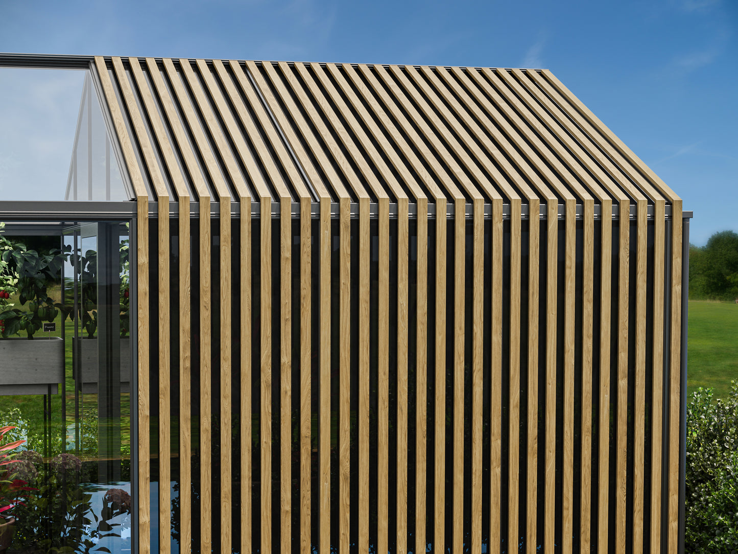 ACCOYA