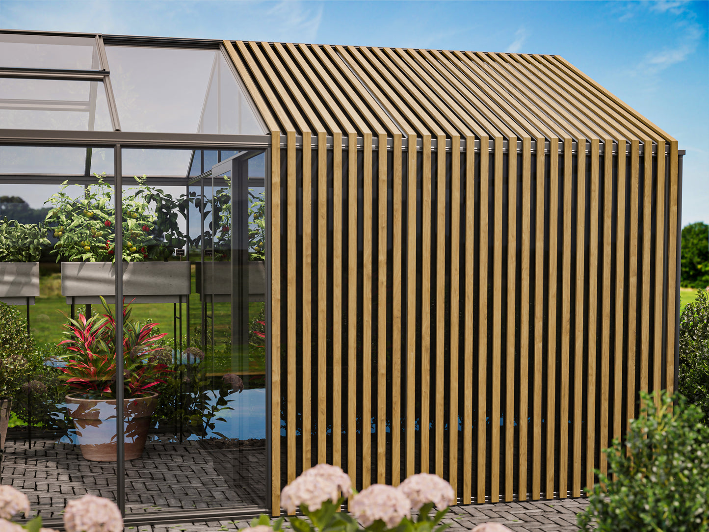 ACCOYA S STORAGE